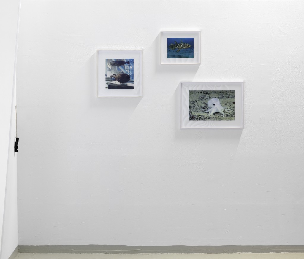 Shifting, Ross31, Düsseldorf Photo Plus